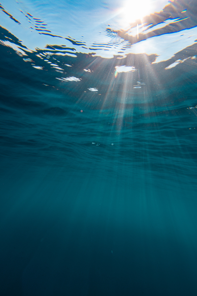 Different Beatiful Sea Image...
